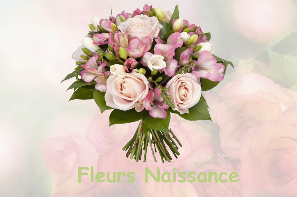 fleurs naissance DIONAY