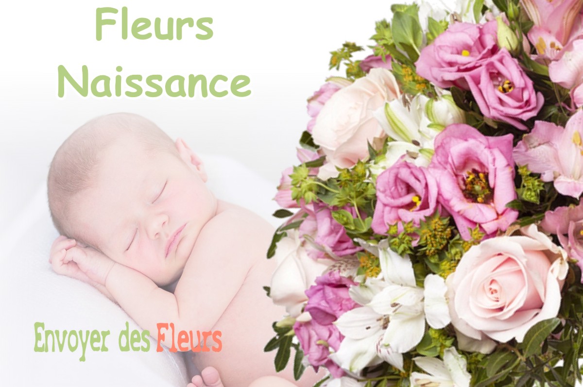 lIVRAISON FLEURS NAISSANCE à DIONAY